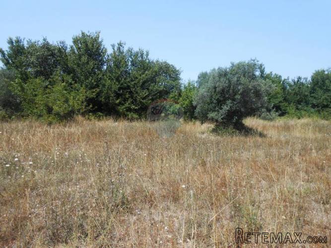 Istra, Vodnjan, Galižana, građevinsko zemljište sa... - 5