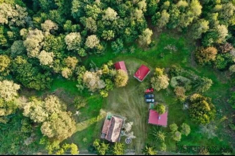 Šumska Vila - 2