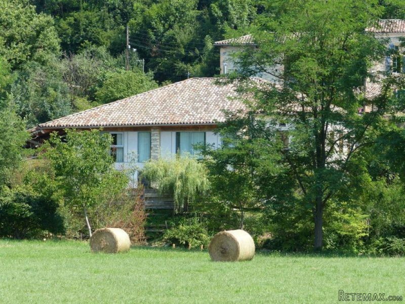 Mancioux