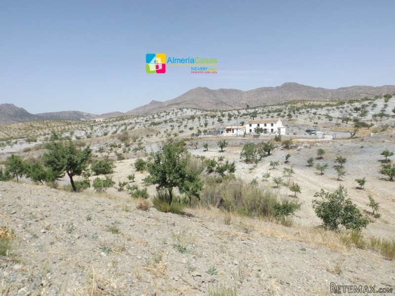 Country Houses For Sale In Albox - 2
