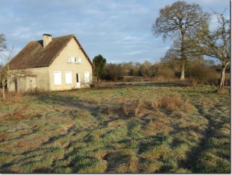 Detached House in Quiet Location