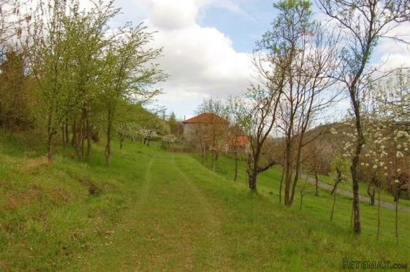 House - Piemonte - For Sale - 2