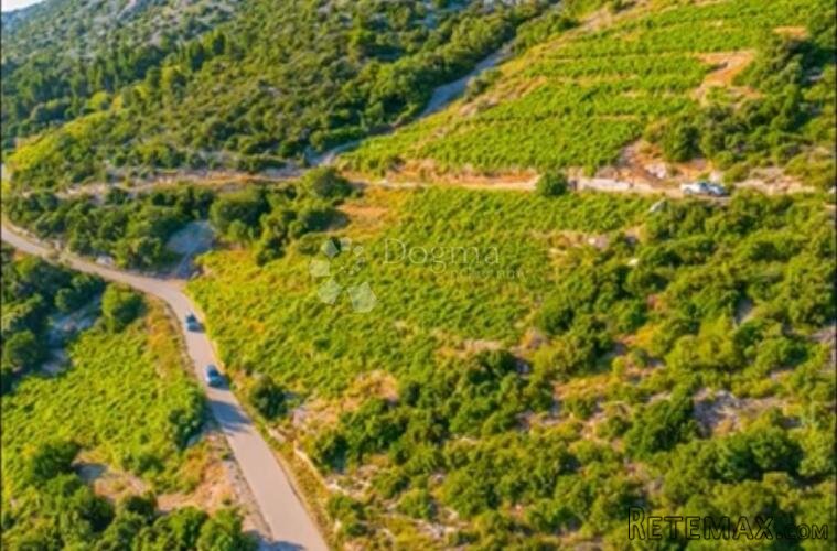 Investicijska prilika - OPG u rajskim vinogradima
