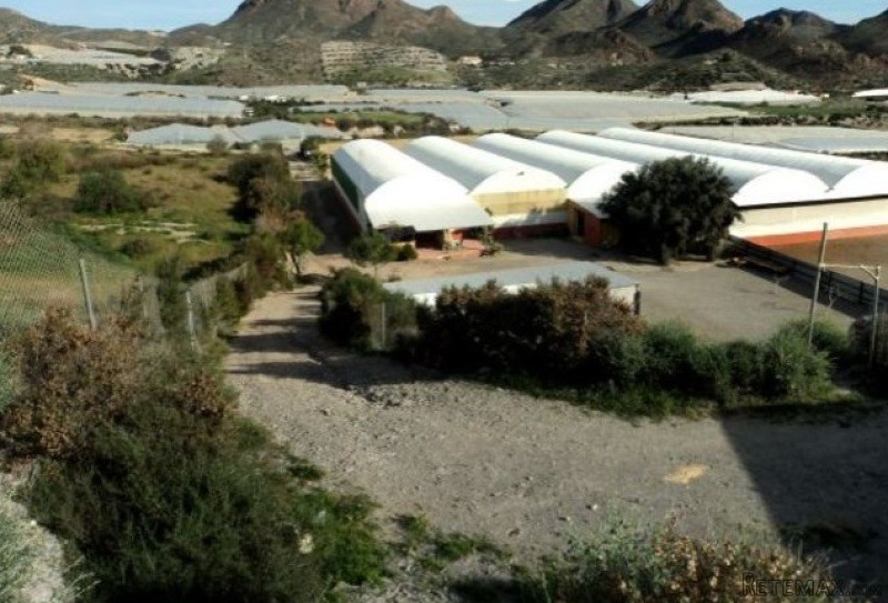 Ref.100602 . Plot - Sales - Águilas ....