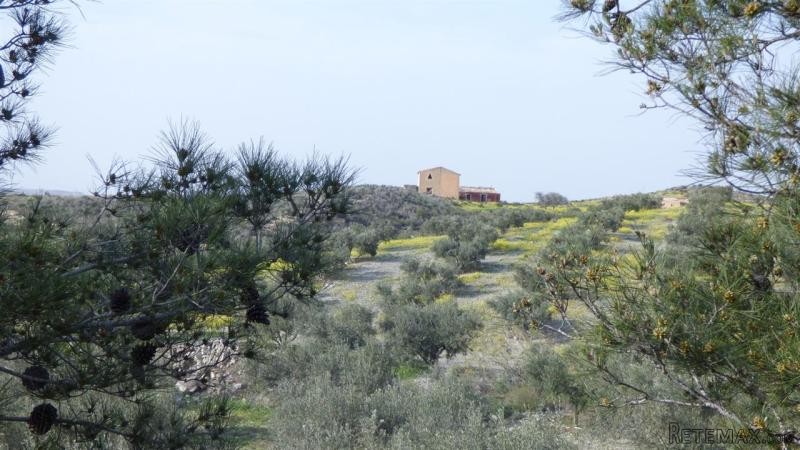 2 Bedrooms - Terraced - Murcia - For..