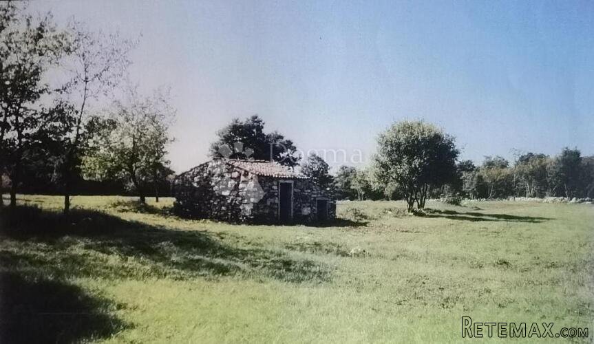 Veliko poljoprivredno zemljište - okolica Poreča - 2