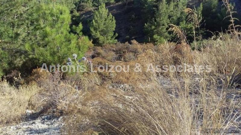 Land For Sale Pano Platres