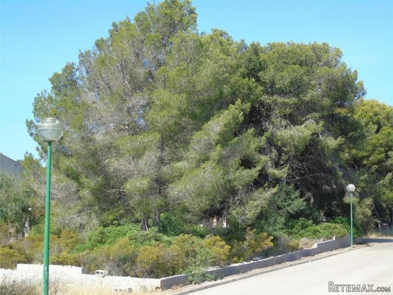 Land For Sale In Sa Rapita