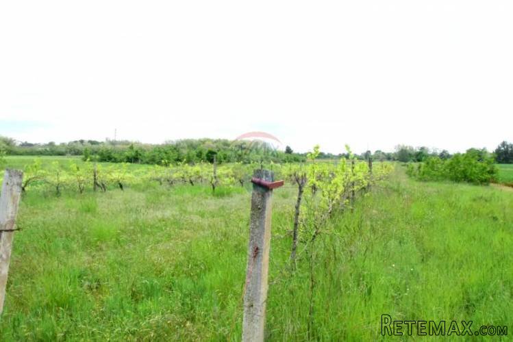 Poljoprivredno zemljište - vinograd