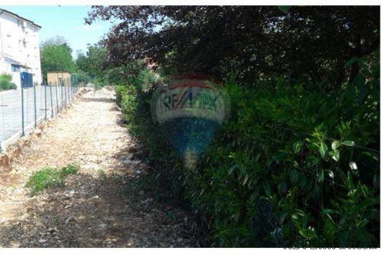 Brtonigla, Fiorini, Građevinsko zemljište 1500 m2 - 3