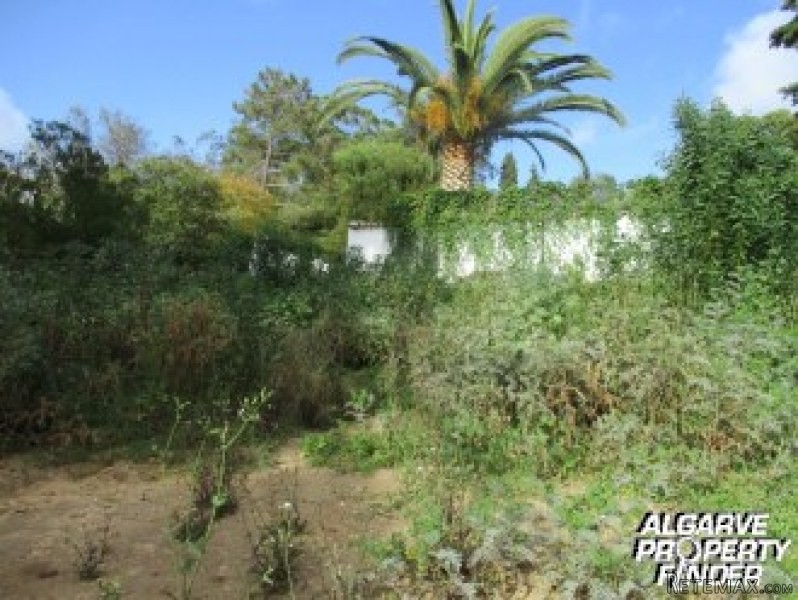 For Sale: Plot In Central Algarve..