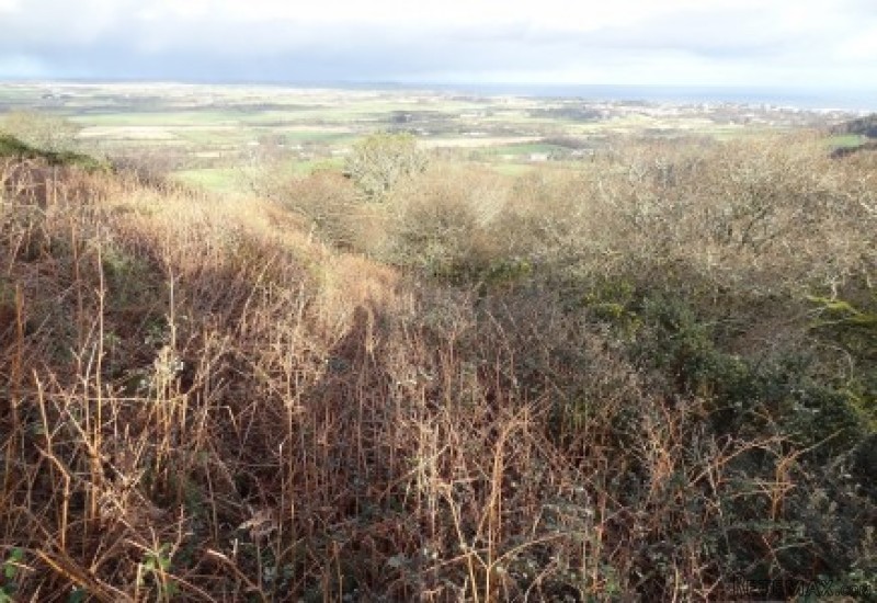 Land at Glentramman, Lezayre - 2