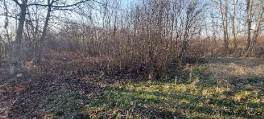 Prodajem plac u Lipama kod Smedereva - 6