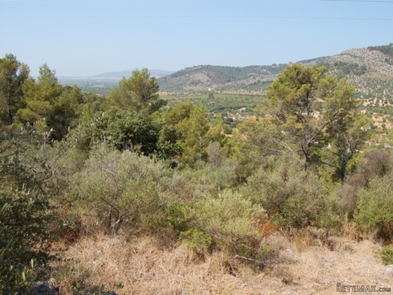 Extensive Plot Of Land With..