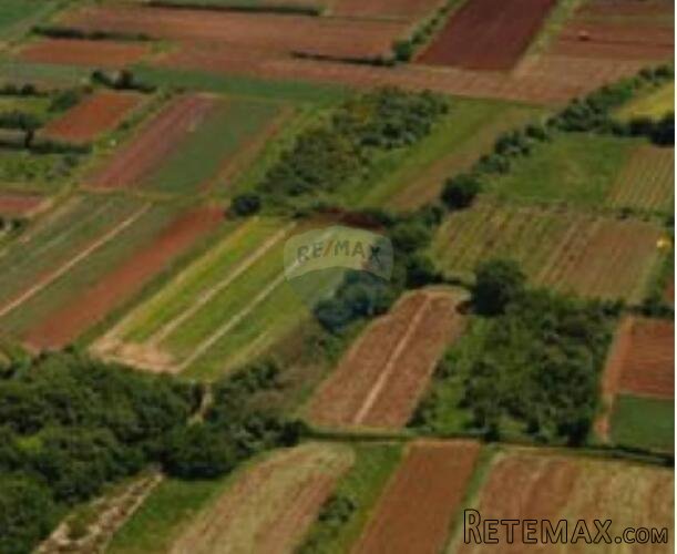 Istra.Grožnjan-Poljoprivredno zemljište - 2