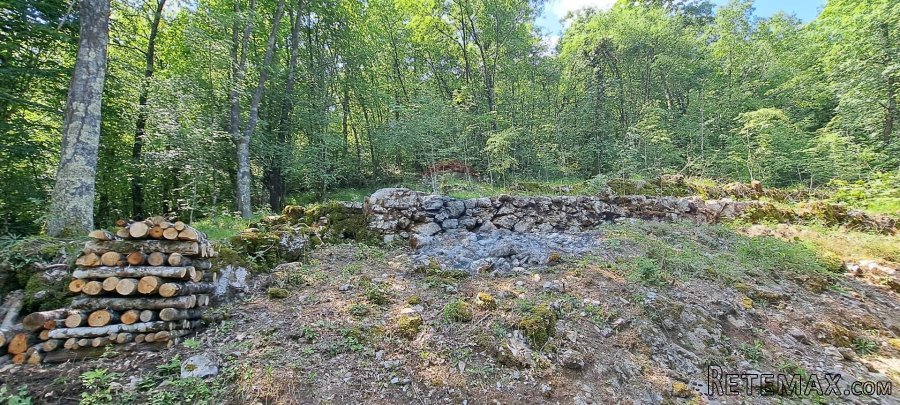 MATULJI, ZVONEĆA - građevinsko zemljište 5387 m2 - 2