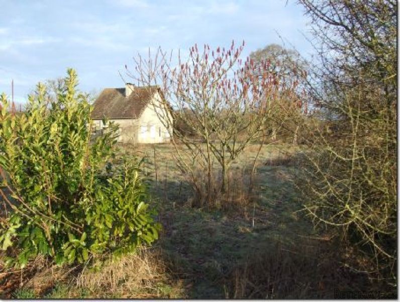 Detached House in Quiet Location - 2