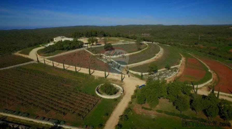 Istra,velebno moderno gospodarstvo na izuzetnoj lokaciji - 3
