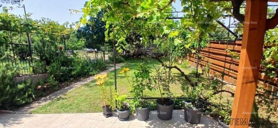 KUĆA SA TRI APARTMANA, MEDULIN - 2