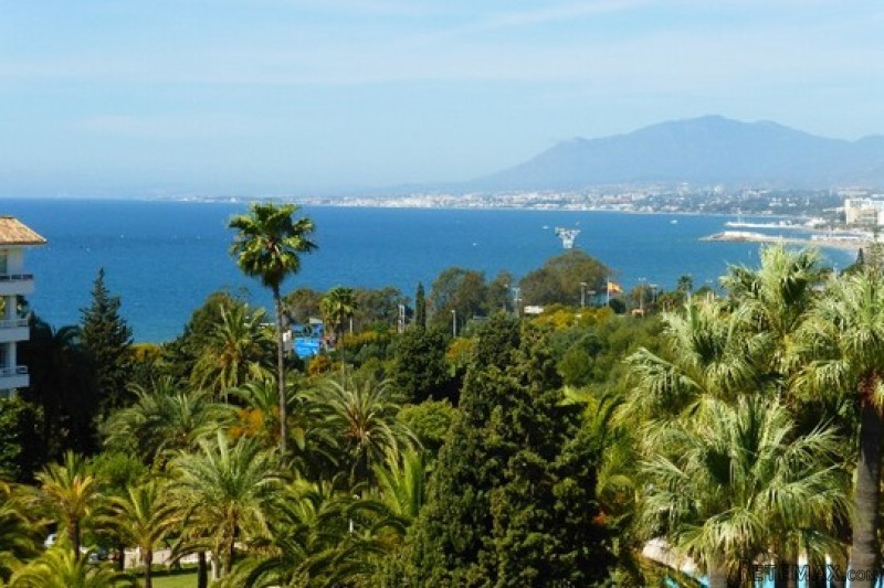 Property - For Sale