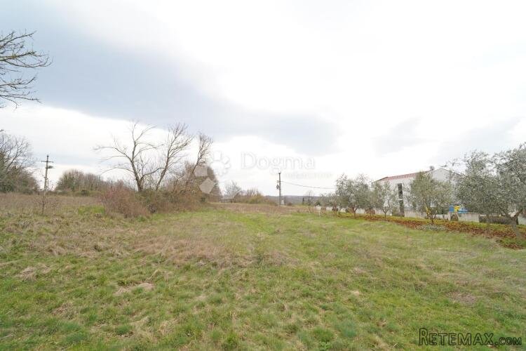 Građevinsko zemljište okolica Baderne 2000 m2 - 3
