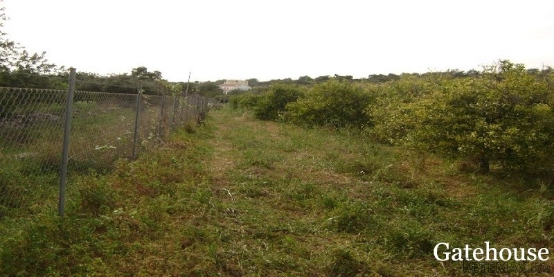 37000m2 Building Plot With 6 Beds Villa.. - 2