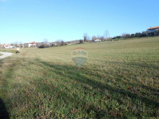 Istra, okolica Vižinada, velika građevinska parcela, 45...