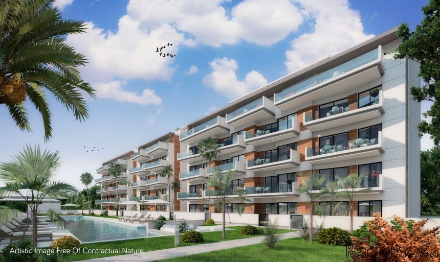 Los apartamentos se ubican en Guardamar del Segura, en un..
