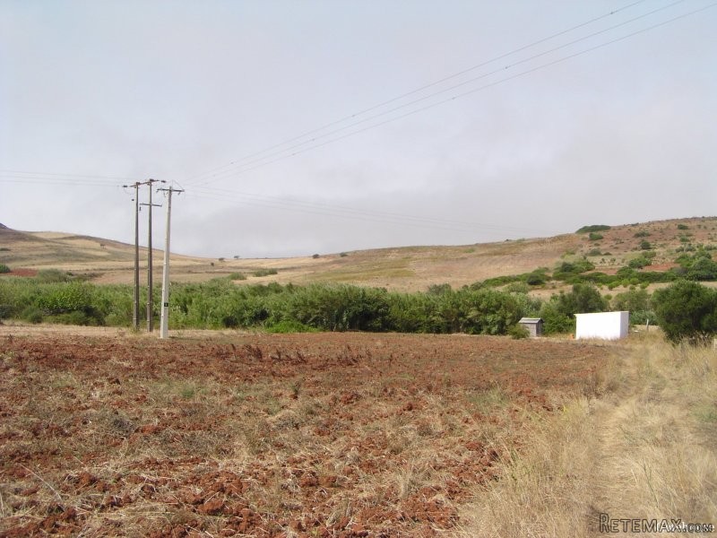 Plot With Approved Project For Sale.. - 2