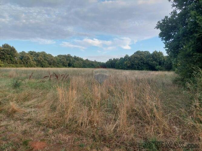 Istra,Prodol, građevinsko zemljište 1000 m2