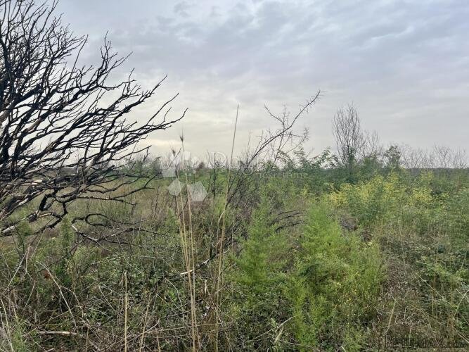 Valtura, građevinsko zemljište s projektom i građ.dozvolom - 3
