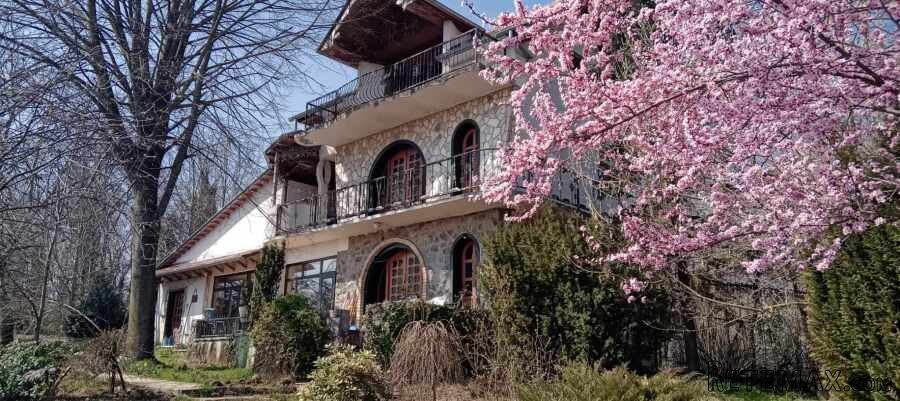 Kuca Đurđevac sa okucnicom 20.000m2 i pomocnim objektima - 9