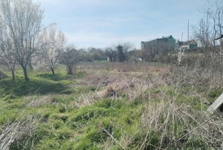Prodajem imanje Subotica-Cantavir - 4