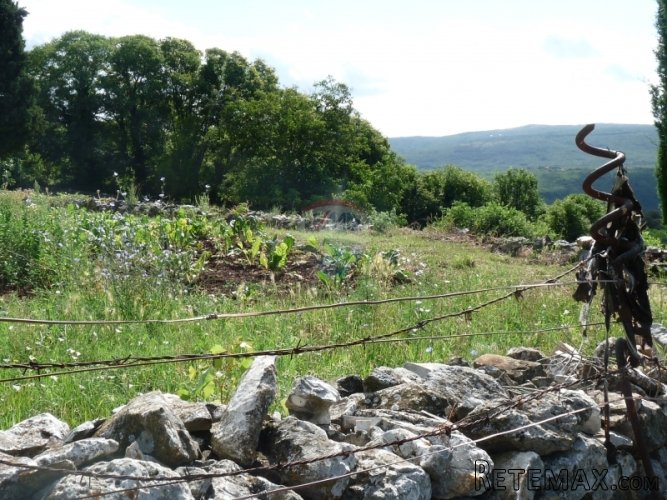 PUNTERA, zemljište od 14774, gosp. objektima i pogledom... - 4