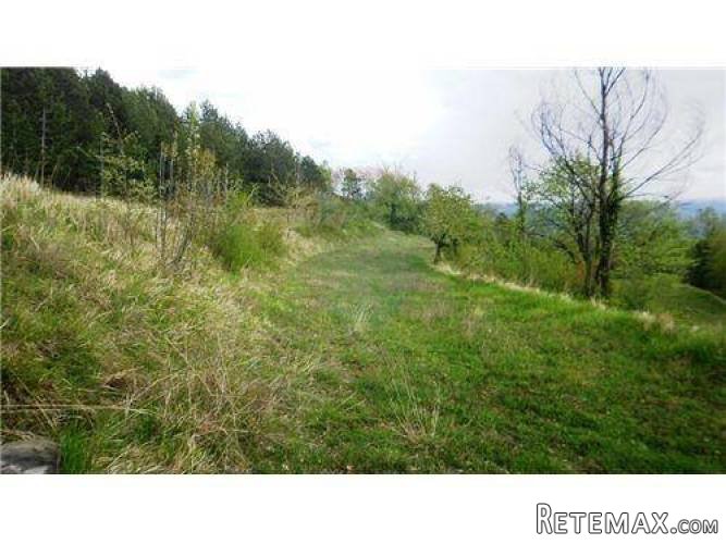 PREKRASNA STANCIJA 33000 M2 S RUŠEVINOM ZA OBNOVU - 4