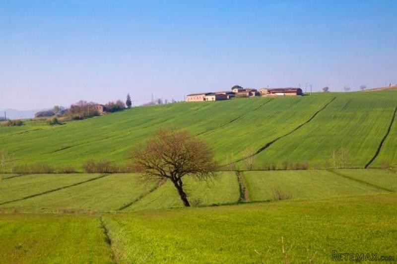 Property - Umbria - For Sale - 2