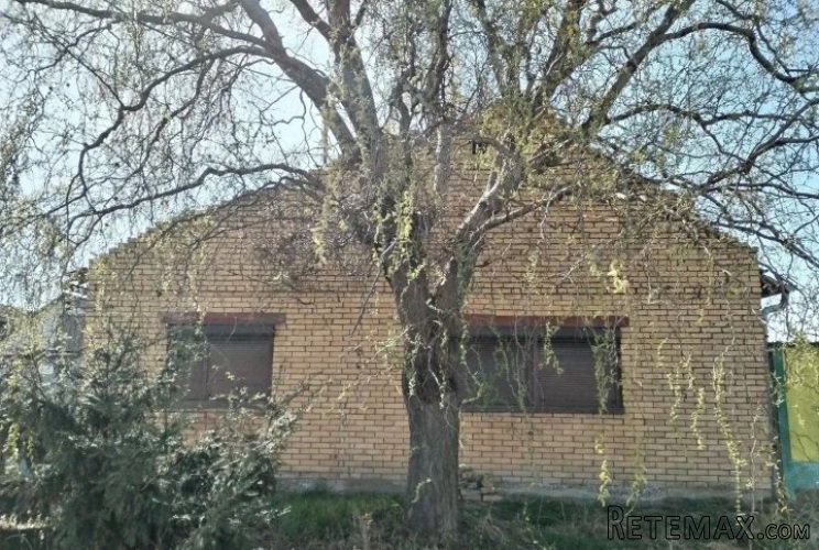 Prodajem imanje Subotica-Cantavir - 10