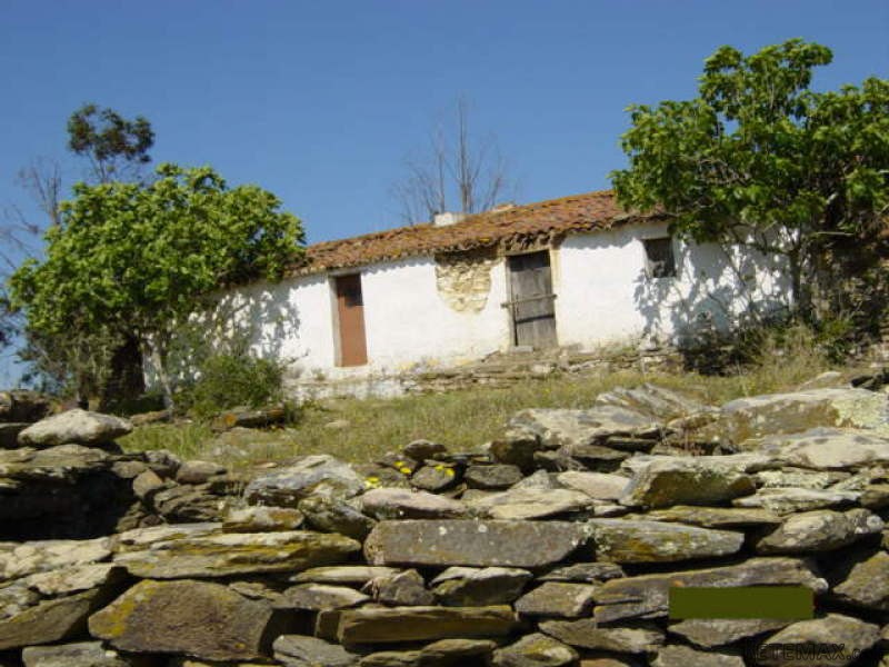 4 Bedrooms - Land Or Ruin - Beja - For.. - 2