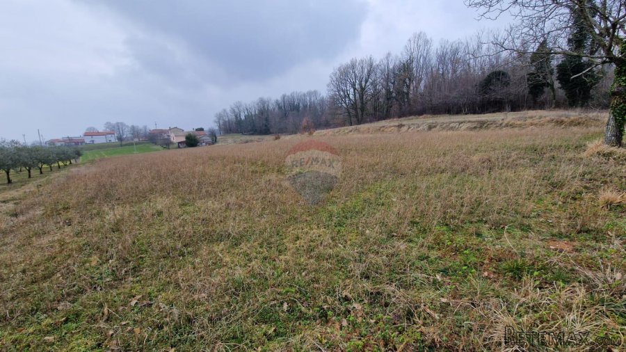 Istra, Sutivanac, građevinsko zemljište sa projektom i plaće - 3