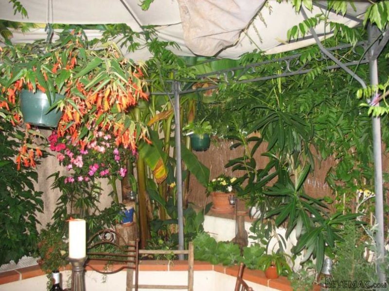 Delightful Village House