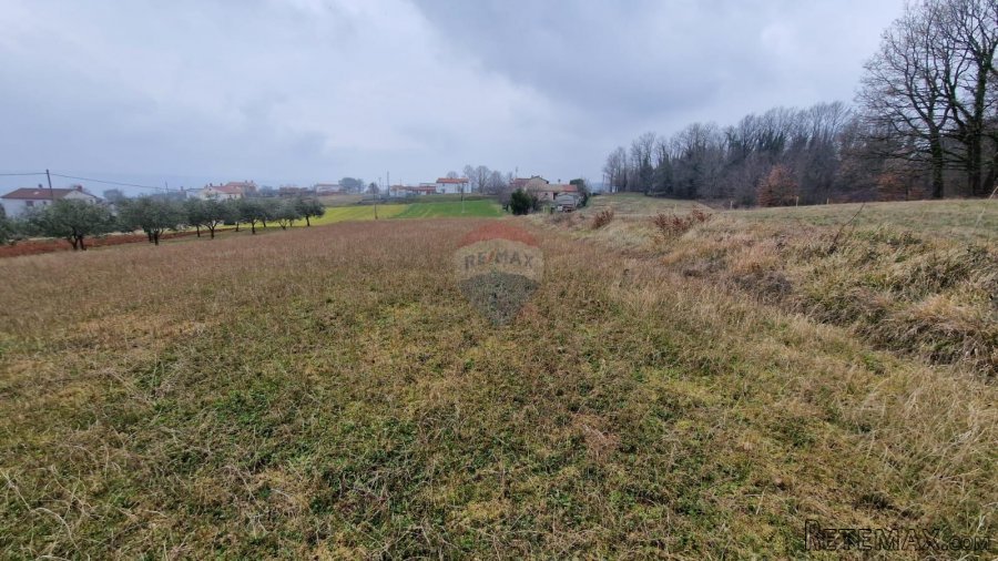 Istra, Sutivanac, građevinsko zemljište sa projektom i plaće - 6