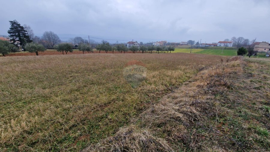Istra, Sutivanac, građevinsko zemljište sa projektom i plaće - 7