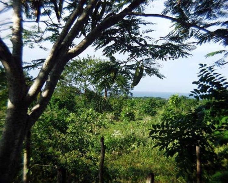 Lot For Sale On The North Coast Of The..