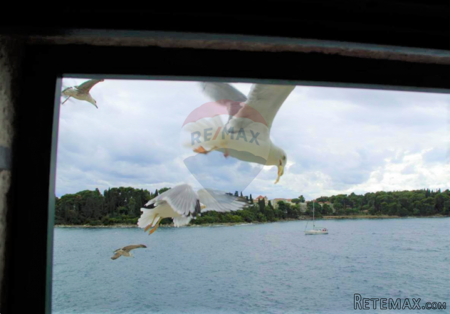 Rovinj,rustikalna kuća na moru-120m2 - 5