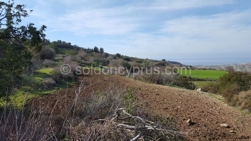 - Land - Paphos - For Sale - 2