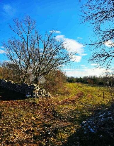 PROSTRANO POLJOPRIVREDNO ZEMLJIŠTE, BLIZU MORA, OKOLICA LABI - 2