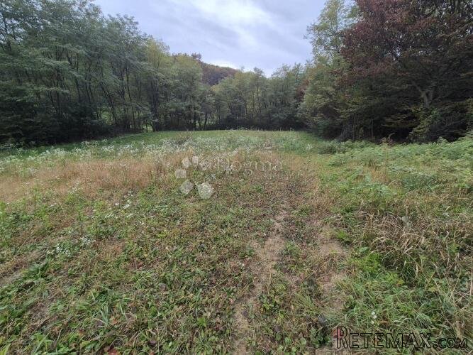 Zemljište 1.169m² na mirnoj lokaciji sa pristupnim putem nad - 3