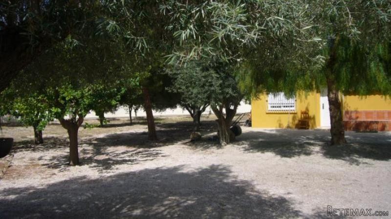 3 bedroom Country house in La Matanza.. - 2