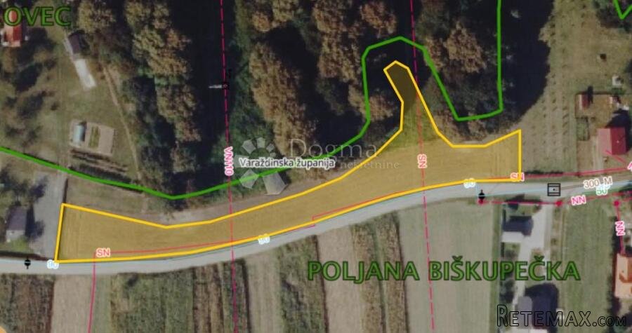 Na rubu šume i grada