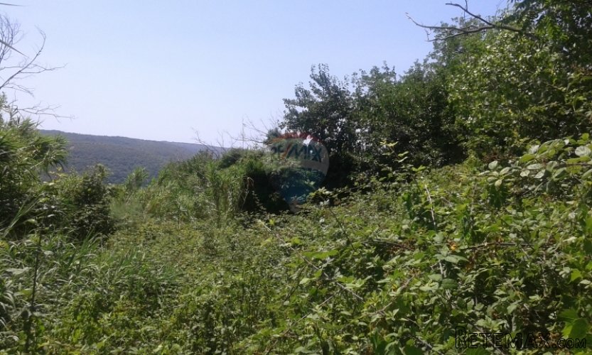 Buje, okolica Krasice, građevinsko zemljište na rubnom... - 2
